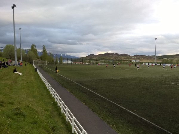 stadium photo